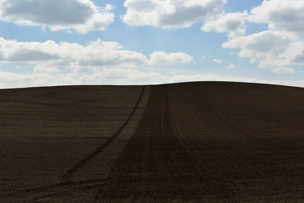 Campo agricoltura sfondo — Foto Stock