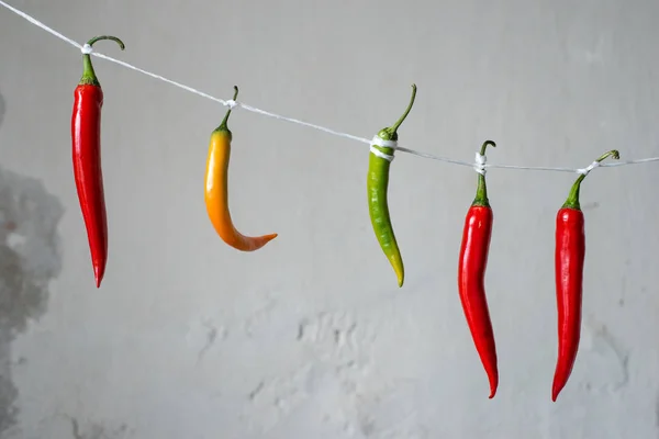 Chili peppers på ett rep — Stockfoto