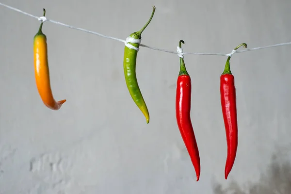 Chili paprika, egy kötélen — Stock Fotó