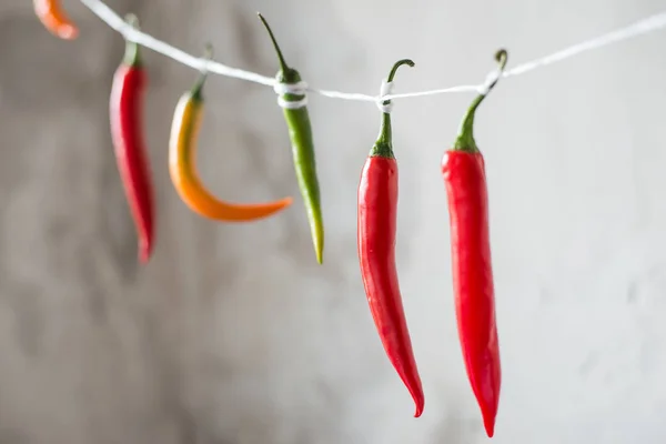 Chili peppers on a rope Stock Image