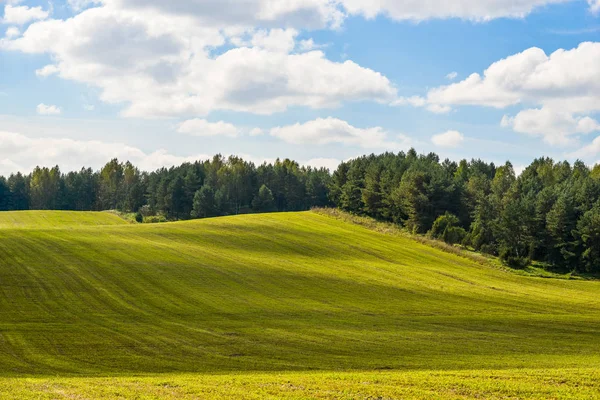 Linda paisagem de verão — Fotografia de Stock