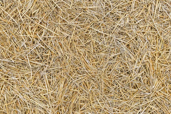 Texture straw pattern — Stock Photo, Image