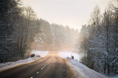Kış orman ve otomatik yol arka plan