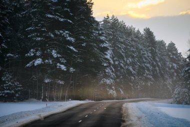 Kış orman ve otomatik