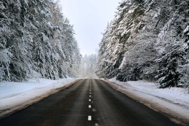 Kış orman ve otomatik