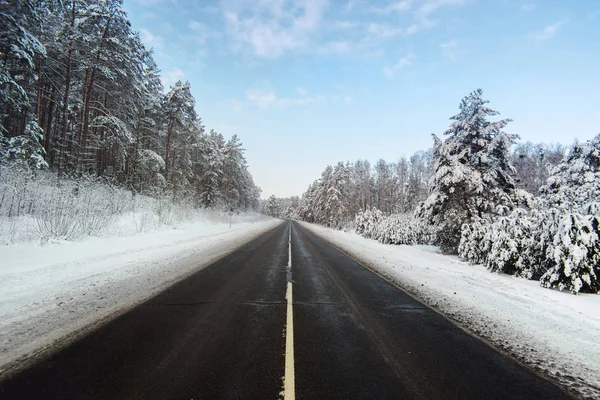Kış orman ve yol doğa