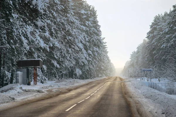 Winter forest and Auto road background