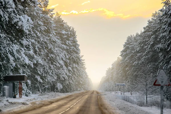 冬天森林和汽车路背景 — 图库照片