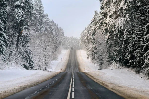 冬天森林和汽车路背景 — 图库照片