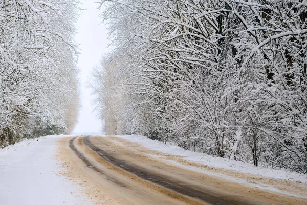 Winter forest and Auto road background