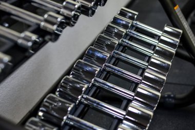 Halter spor etkinliği