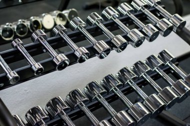 Halter spor etkinliği