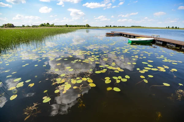 Piękny krajobraz lato natura — Zdjęcie stockowe