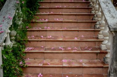 eski bir ev merdiven