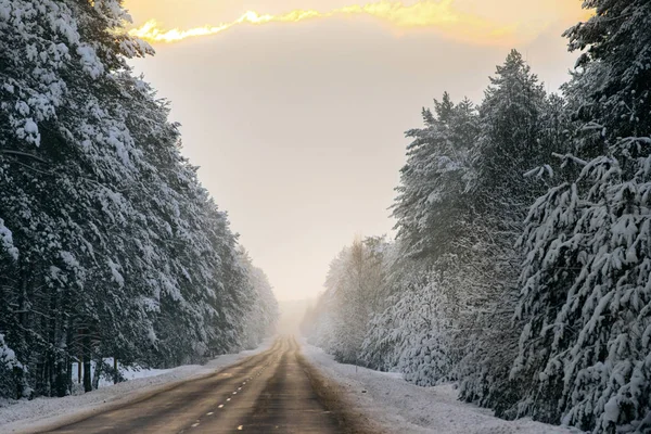 冬季森林和汽车道路 — 图库照片