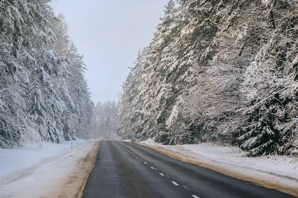 Winter forest and Auto road