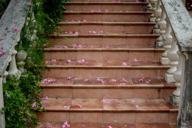 eski bir ev merdiven