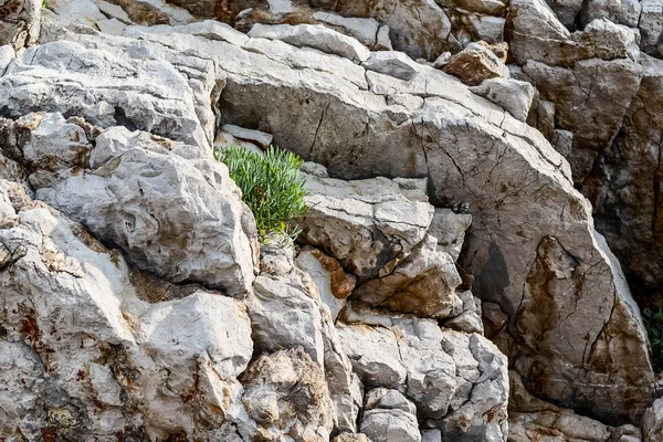 Textura Pedras Rocha Montenegro — Fotografia de Stock