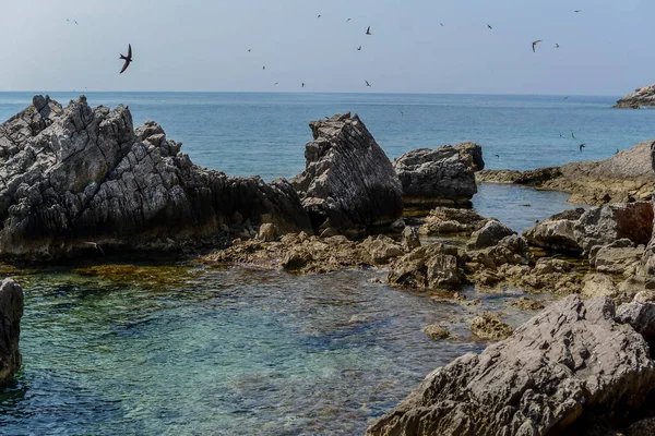 Vista Para Mar Dos Resorts Petrovac Montenegro — Fotografia de Stock