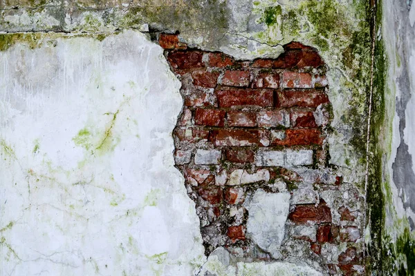 Старая Кирпичная Стена — стоковое фото