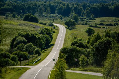 Ormanda uzun yol görünümünü