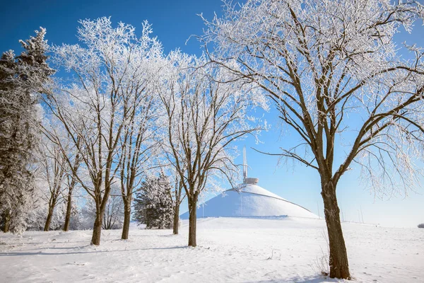 Inverno Floresta Memorial Complexo Colina Glória — Fotografia de Stock