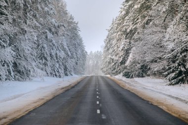Kış Ormanı ve Otoyol