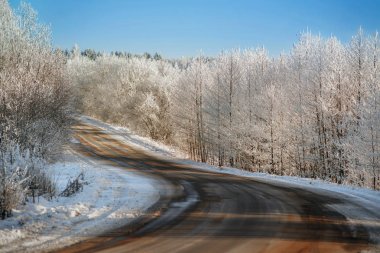Açık havada karlı ağaçlar