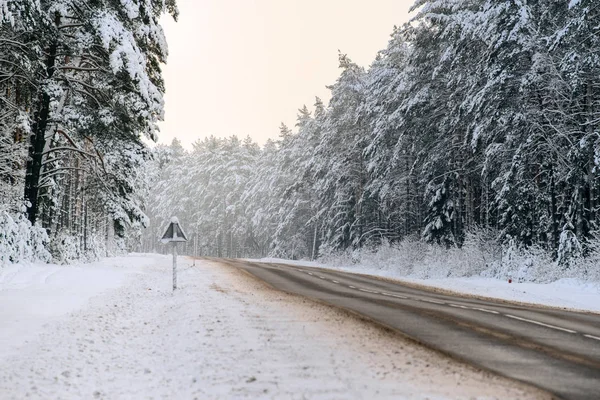 冬季森林和汽车道路 — 图库照片