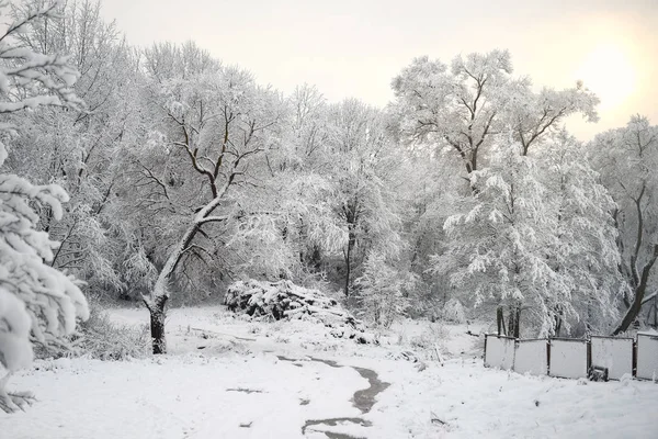 Inverno Paisagem Rural Natureza — Fotografia de Stock