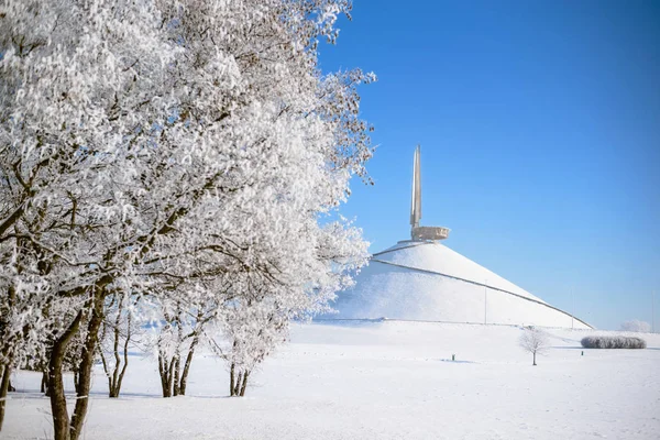 Árvores Nevadas Clima Limpo — Fotografia de Stock