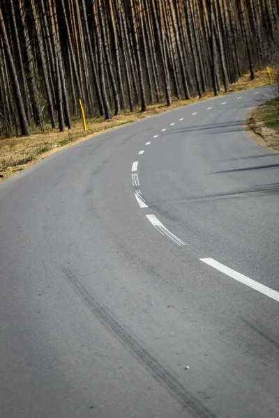 穿过森林的道路 — 图库照片