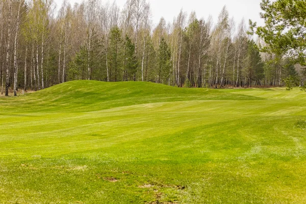 Giocare a golf il verde e durante l'allenamento — Foto Stock