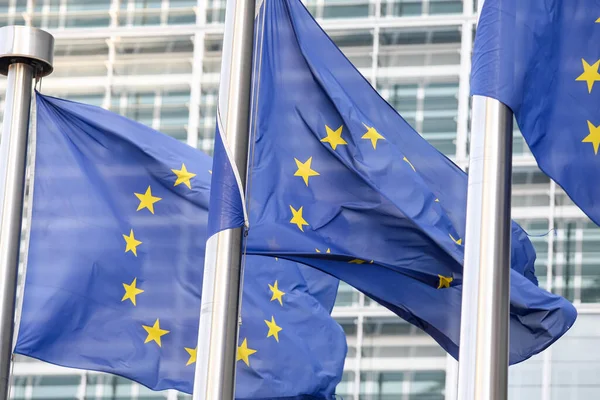 Banderas de la UE cerca del Parlamento Europeo, Bruselas, Bélgica - 02 mar 2011 — Foto de Stock