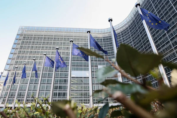 Banderas de la UE cerca del Parlamento Europeo, Bruselas, Bélgica - 02 mar 2011 — Foto de Stock