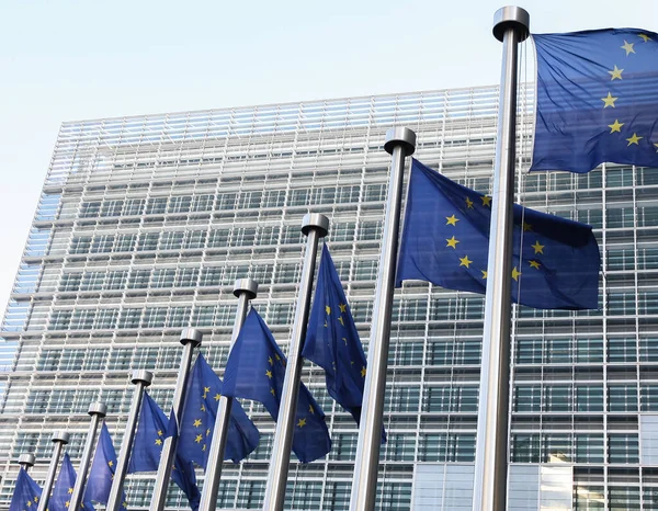 Banderas de la UE cerca del Parlamento Europeo, Bruselas, Bélgica - 02 mar 2011 — Foto de Stock