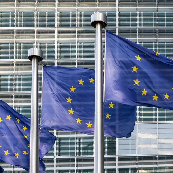 Banderas de la UE cerca del Parlamento Europeo, Bruselas, Bélgica - 02 mar 2011 — Foto de Stock