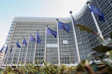 Avrupa Parlamentosu, Brüksel, Belçika yakınlarındaki AB Bayrakları - 02 Mar 2011