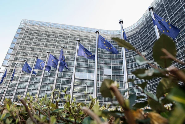 Прапори ЄС біля Європейського парламенту, Брюсселя, Бельгії - 02 березня 2011 — стокове фото