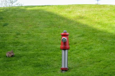 Wolfsburg Müzesi 'nden. Wolfsburg, Almanya 'dan. 19 Mayıs 2016