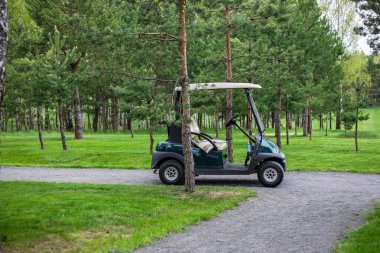 Sahadaki golf arabası.