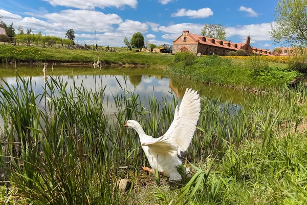 Park-muzeum historii interaktywnej Sula, Oficjalna rezydencja myśliwska króla Rzeczypospolitej Polskiej Stefana Batorego — Zdjęcie stockowe