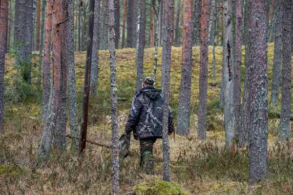 Ermites forestiers et chasse en pleine nature — Photo
