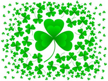 Yonca vektör çizim üzerine beyaz bırakır. St Patrick's günü arka plan