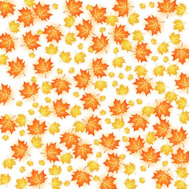 Sonbahar arka plan illüstrasyon. Beyaz üzerine akçaağaç yaprağı sonbaharın vektör tasarımı