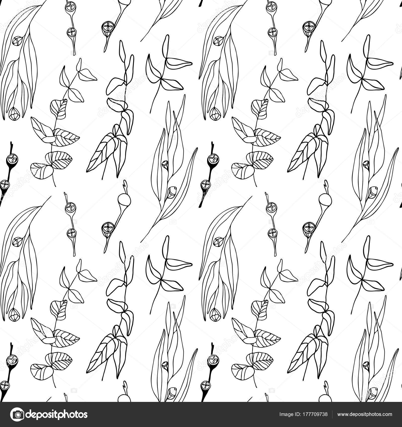 Vector Illustration Design Eucalyptus Leaves Berries Seamless Pattern Hand Drawn Stock Vector C Art4ddlite 177709738