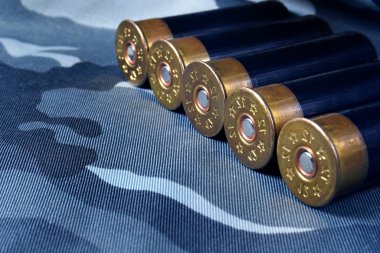 Silah için cephane.