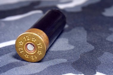 Silah için cephane.