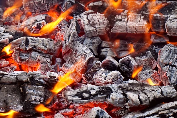 Hoguera. Carbón caliente y fuego . — Foto de Stock