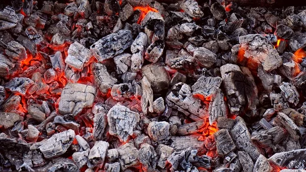 Bonfire. Hot coals and fire. — Stock Photo, Image